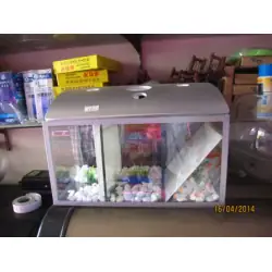 Bể Cá Chọi Nhiều Ngăn Có Nắp