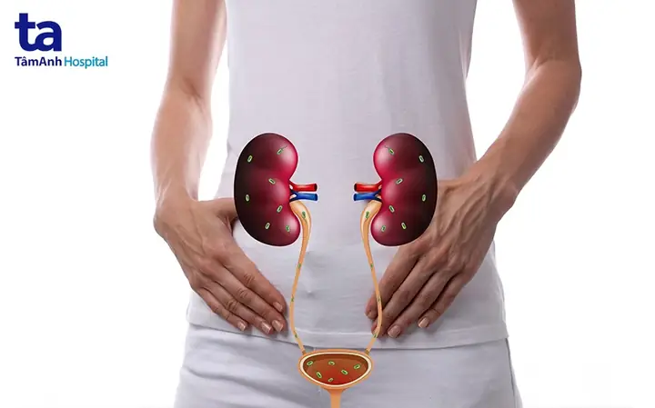 Đái Ra Máu Là Bệnh Gì? Đái Ra Máu Là Bệnh Gì?