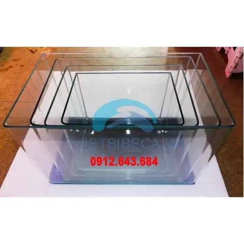 Chế Độ Cho Cá Ăn