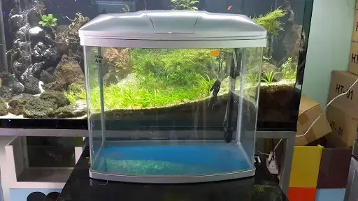 Bể Cá Đúc 60cm Tphcm: Kinh Nghiệm Chọn Mua Và Địa Chỉ Uy Tín Bể Cá Đúc 60cm Tphcm: Kinh Nghiệm Chọn Mua Và Địa Chỉ Uy Tín