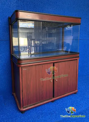 Mời Quý Người Chơi Tham Khảo Thông Tin Bảng Giá Cá: