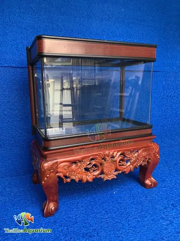 Mời Quý Người Chơi Tham Khảo Thông Tin Bảng Giá Cá: