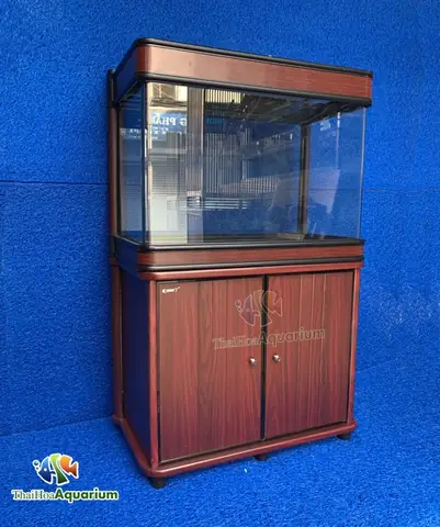 Mời Quý Người Chơi Tham Khảo Thông Tin Bảng Giá Cá: