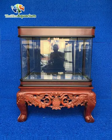 Mời Quý Người Chơi Tham Khảo Thông Tin Bảng Giá Cá: