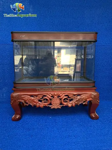 Mời Quý Người Chơi Tham Khảo Thông Tin Bảng Giá Cá: