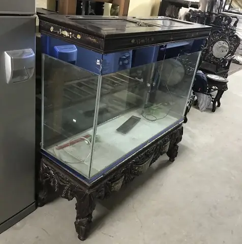 Bể Cá Đúc 45x28x30: Hướng Dẫn Chi Tiết Từ A-z Để Thiết Lập Bể Thủy Sinh Mini Hoàn Hảo