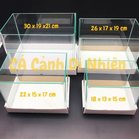 Bể Cá Đúc Mini Hà Nội: Cẩm Nang Toàn Diện Về Thiết Kế, Chăm Sóc Và Lựa Chọn Tối Ưu