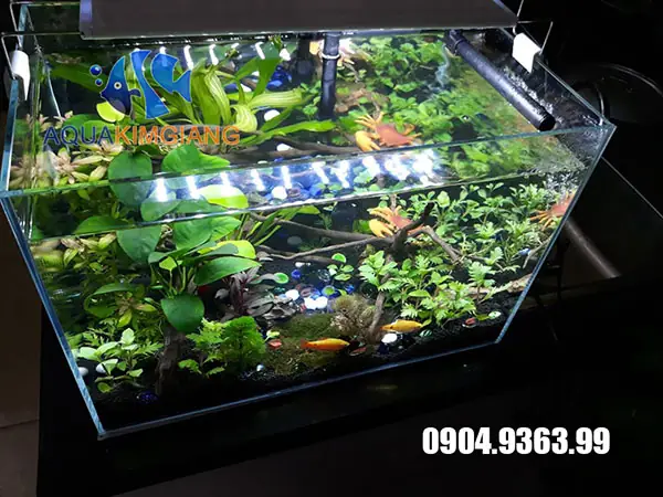 Bể Cá Đúc Siêu Trong: Bí Mật Làm Sáng Thế Giới Dưới Nước Của Bạn