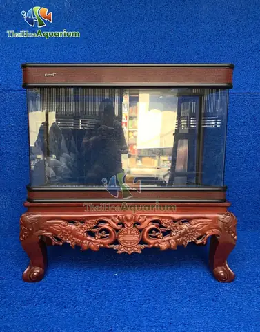 Mời Quý Người Chơi Tham Khảo Thông Tin Bảng Giá Cá: