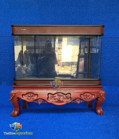 Mời Quý Người Chơi Tham Khảo Thông Tin Bảng Giá Cá: