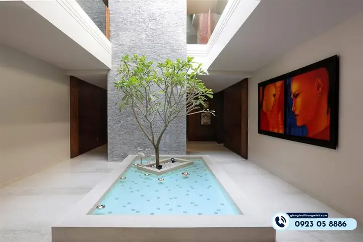 Bể Cá Giếng Trời Là Gì?