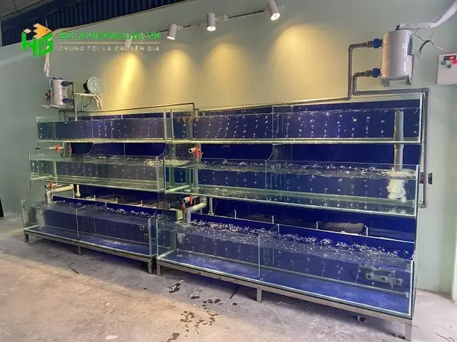 Bể Hải Sản 3 Tầng Tại Hải Dương - Bể Cá Hoàng Gia | Siêu Thị ...