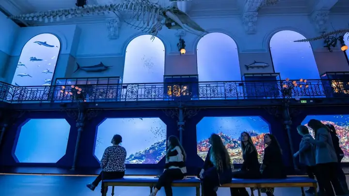 Vé Vào Cửa Bảo Tàng Hải Dương Học Monaco | Nhập Cảnh