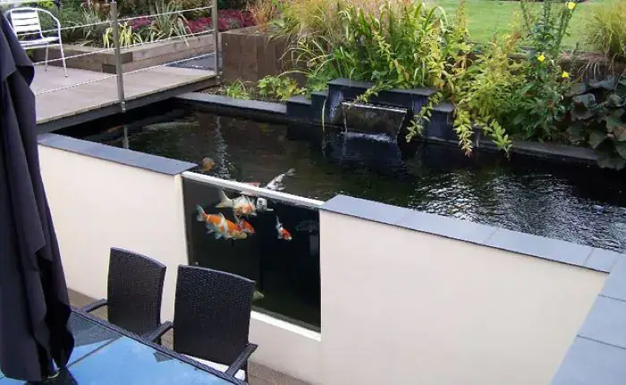 Nước Cho Bể Cá Koi