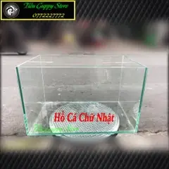 Hồ Kính Hình Chữ Nhật - Thích Hợp Làm Hồ Cá, Bể Cá Thủy Sinh ...