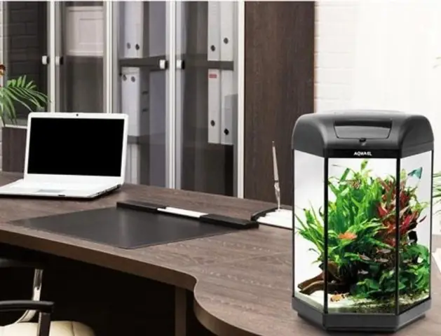 Bể Cá Hình Lục Giác Hexa Set