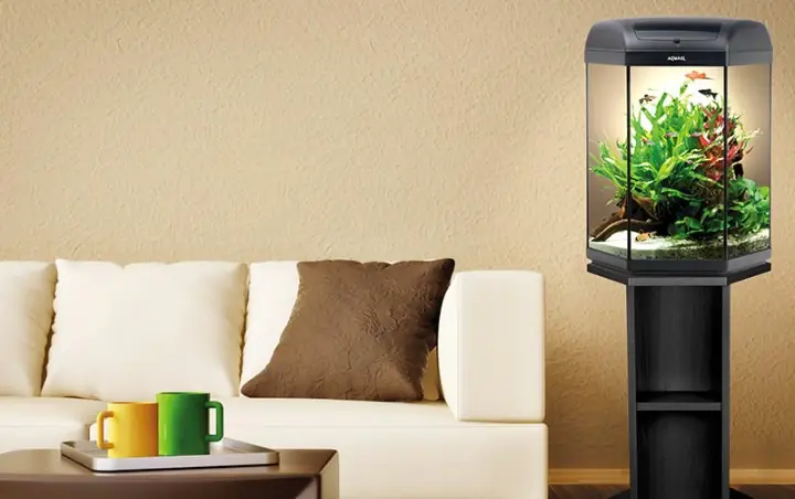 Bể Cá Hình Lục Giác Hexa Set