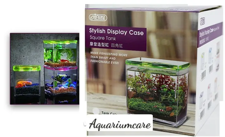Bể Cá Mini Hình Vuông Nhập Khẩu Từ Taiwan