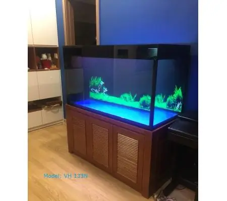Bể Cá Rồng 133