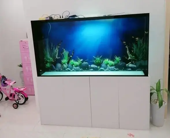 Cách Làm Bể Cá Hút Đáy Toàn Dải Mới Nhất Hiện Nay