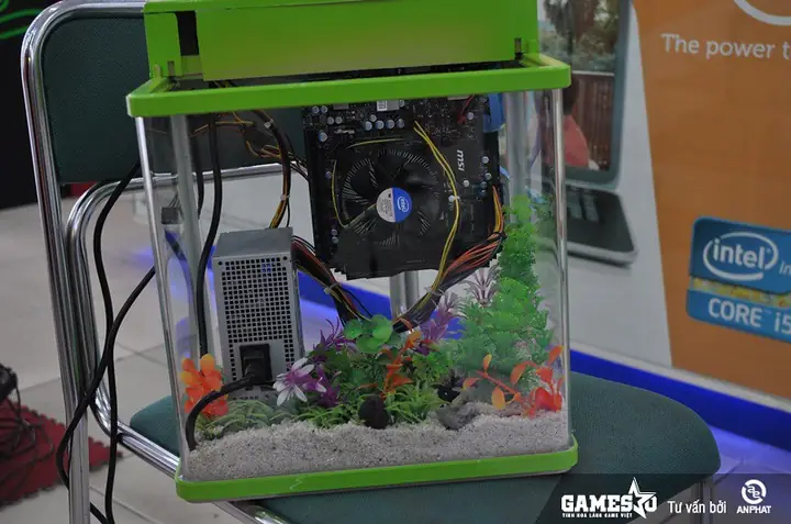 Bể Cá In English Là Gì? Các Thuật Ngữ Phổ Biến Liên Quan