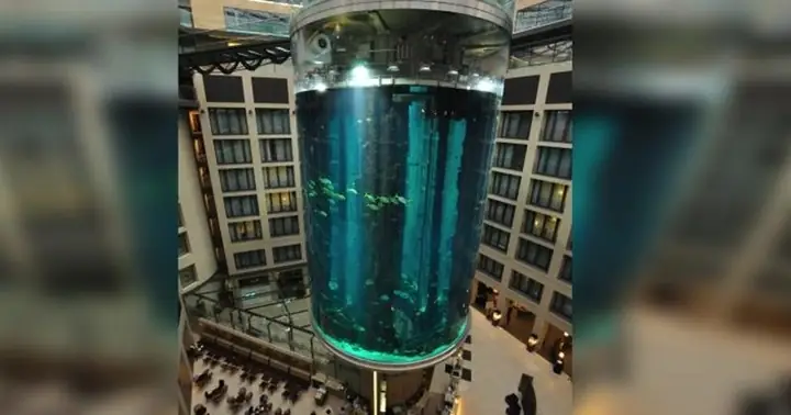 Vì Sao Bể Cá Lớn Nhất Thế Giới Ở Châu Âu Bị Vỡ? Vì Sao Bể Cá Lớn Nhất Thế Giới Ở Châu Âu Bị Vỡ?