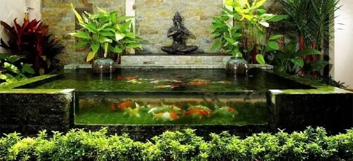 Bể Cá Koi Đẹp Trong Nhà