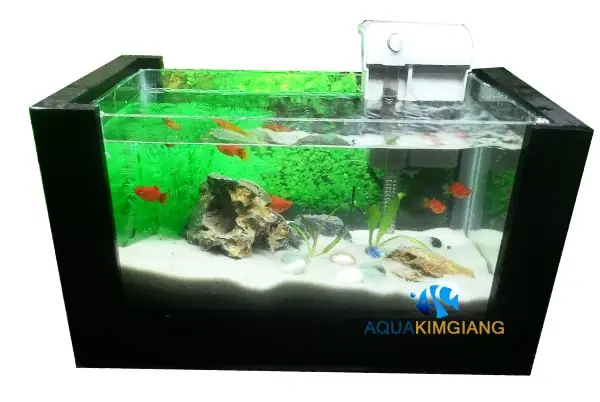 Bể Cá Mini Khung Gỗ: Hướng Dẫn Chọn Và Chăm Sóc Chi Tiết