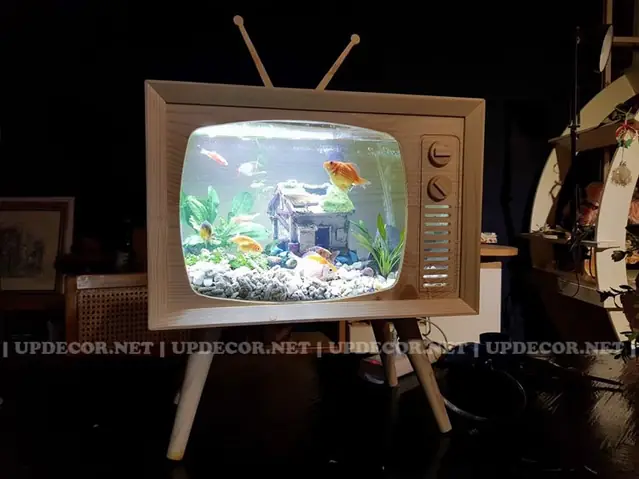 Bể Cá Mini Khung Gỗ: Hướng Dẫn Chọn Và Chăm Sóc Chi Tiết