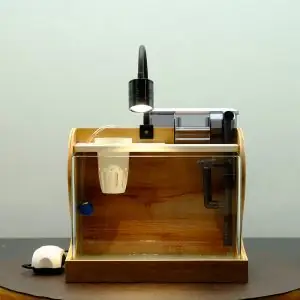 Bộ Để Cá Để Bàn Cao Cấp Size 1