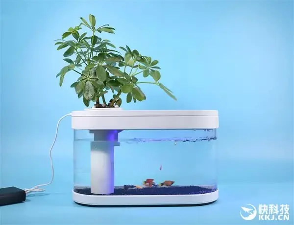 Bể Cá Mini Thông Minh: Cẩm Nang Chọn Mua, Chăm Sóc Và Trang Trí Không Gian Sống