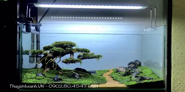 Hồ Thuỷ Sinh Mini Để Bàn Giá Rẻ, Nhiều Mẫu Đẹp - Shop Thuỷ Sinh ...
