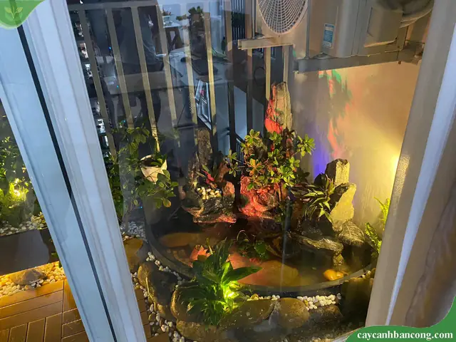 Bể Cá Ngoài Ban Công
