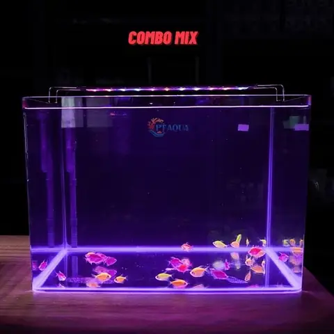 Bể Cá Cảnh Uốn Cong 50x33x35cm Hàng Nhập Khẩu Cao Cấp ...