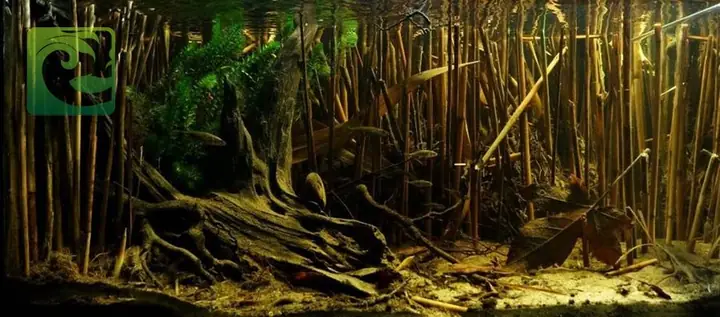 Học Hỏi Về Hệ Sinh Thái Tự Nhiên: