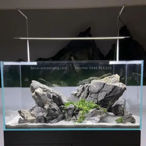Tổng Hợp Những Mẫu Bể Cá Phong Cách Iwagumi Đẹp Nhất