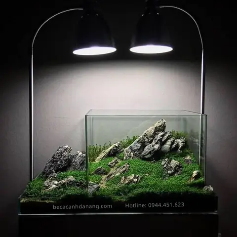 Tổng Hợp Những Mẫu Bể Cá Phong Cách Iwagumi Đẹp Nhất