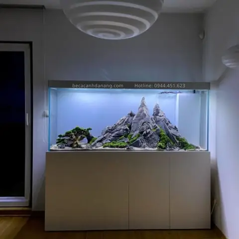 Tổng Hợp Những Mẫu Bể Cá Phong Cách Iwagumi Đẹp Nhất