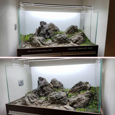 Tổng Hợp Những Mẫu Bể Cá Phong Cách Iwagumi Đẹp Nhất