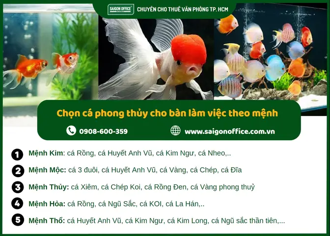 Cách Chọn Cá Phù Hợp Với Mệnh Của Gia Chủ