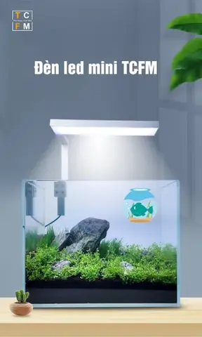 Đèn Led Kẹp Tcfm