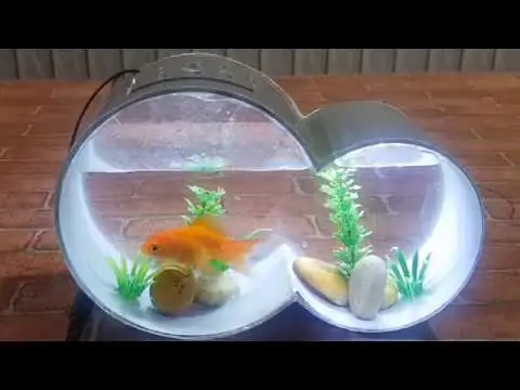 Bể Cá Tái Chế: Ý Tưởng Sáng Tạo Từ Rác Thải Nhựa Và Cách Thực Hiện Chi Tiết