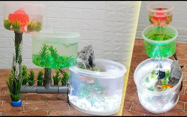 Bể Cá Tái Chế: Ý Tưởng Sáng Tạo Từ Rác Thải Nhựa Và Cách Thực Hiện Chi Tiết