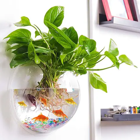 Giá Bể Cá Mini Treo Tường