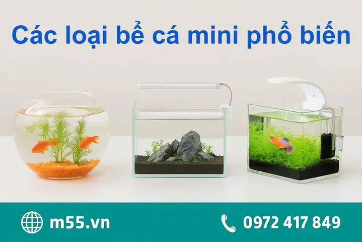 Các Loại Bể Cá Mini Phổ Biến