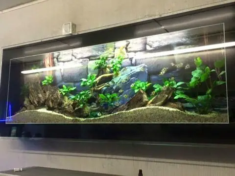 Bể Cá Treo Tường Phòng Khách: Lựa Chọn Hoàn Hảo Cho Không Gian Sống Hiện Đại Bể Cá Treo Tường Phòng Khách: Lựa Chọn Hoàn Hảo Cho Không Gian Sống Hiện Đại