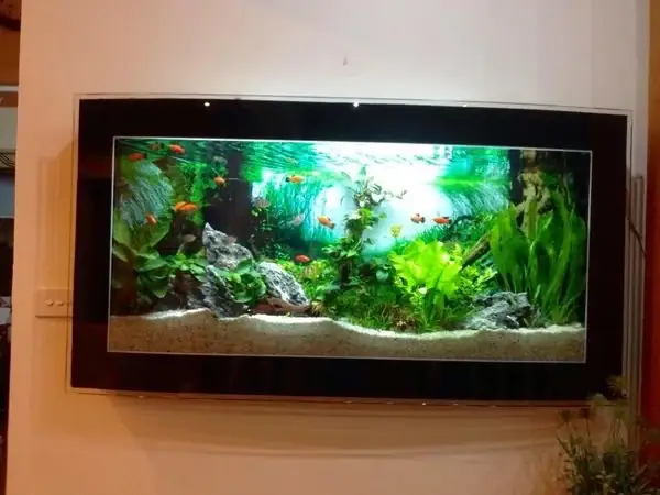 Bể Cá Treo Tường Phòng Khách: Lựa Chọn Hoàn Hảo Cho Không Gian Sống Hiện Đại Bể Cá Treo Tường Phòng Khách: Lựa Chọn Hoàn Hảo Cho Không Gian Sống Hiện Đại