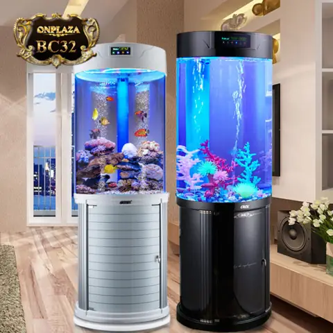 Bể Cá Tròn Lớn: Bí Mật Của Không Gian Sống Động Bể Cá Tròn Lớn: Bí Mật Của Không Gian Sống Động