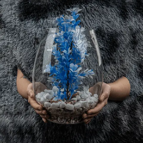 Bể Thủy Tinh - Homore Bể Thủy Tinh - Homore