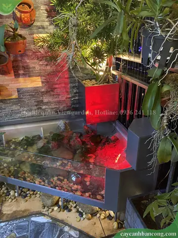 Bể Cá Kết Hợp Chậu Trồng Cây Tiện Lợi, Độc Đáo Cho Ban Công